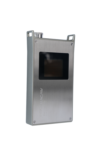 iBasso PB6 Macaw